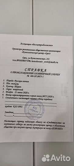 Вязка русская гончая