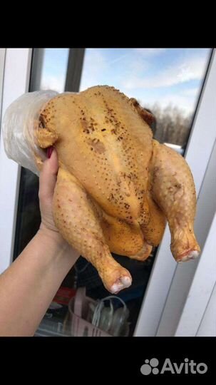 Мясо домашней птицы