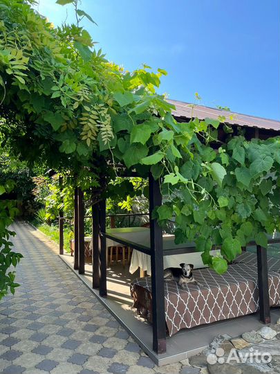 Отдых в Архипо-Осиповке