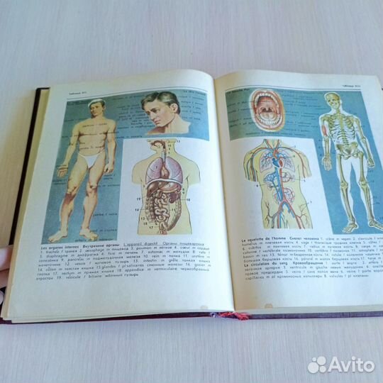 Французский словарь