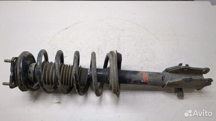 Амортизатор подвески Mazda CX-9, 2009