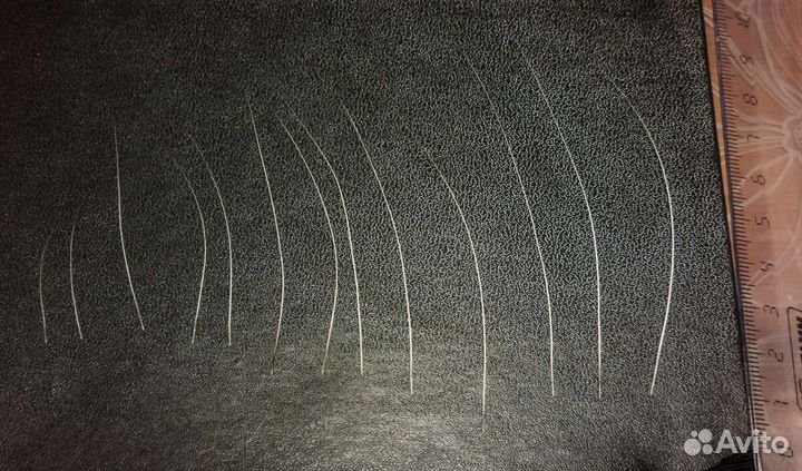 Кошачьи усы - Вибриссы