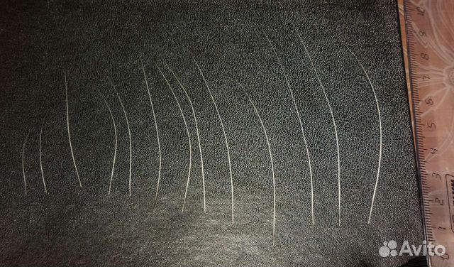 Кошачьи усы - Вибриссы