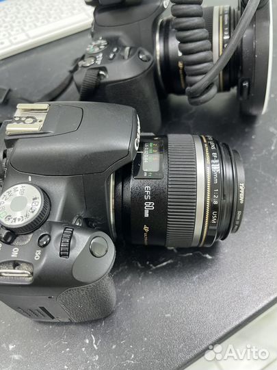 Canon ef s 60mm f 2.8 macro