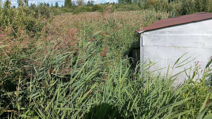 Участок 10,5 сот. (СНТ, ДНП)