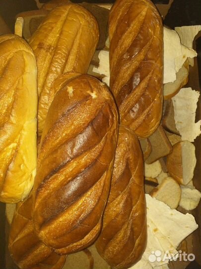 Хлеб на корм животным