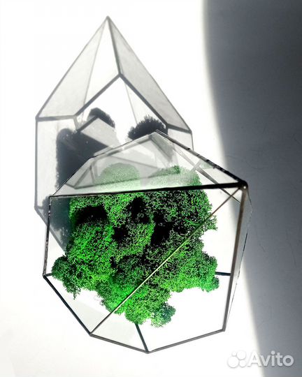 Флорариум из стекла Капля