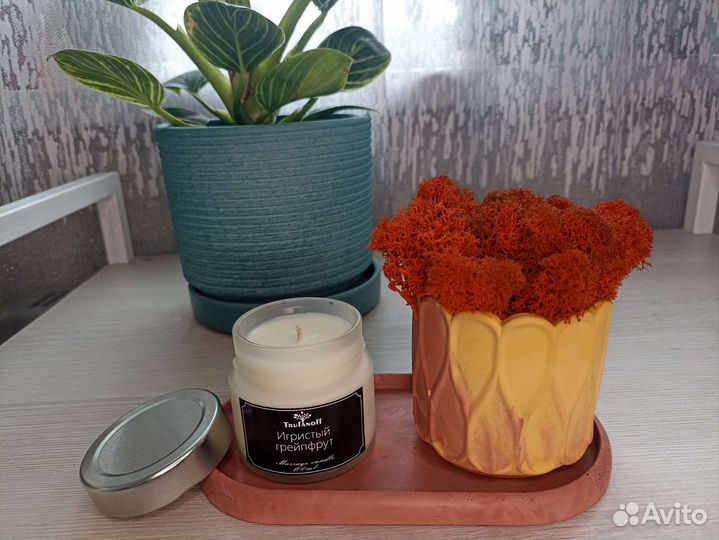 Кашпо Кактус