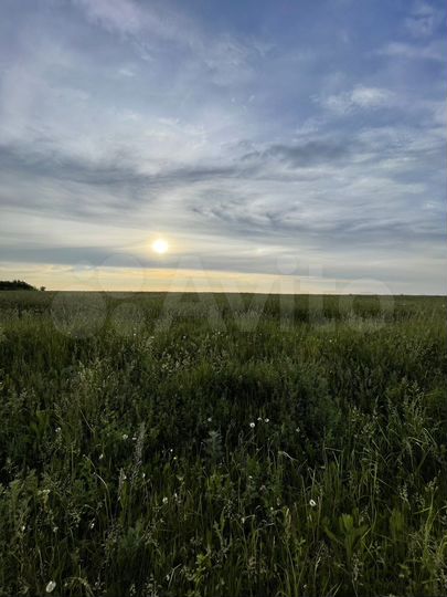 Участок 40 сот. (ИЖС)