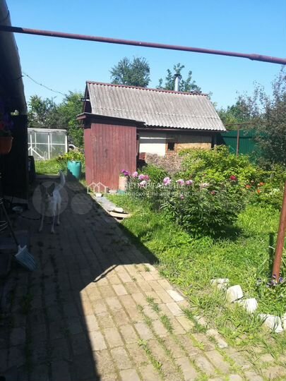 Дом 55 м² на участке 6 сот.