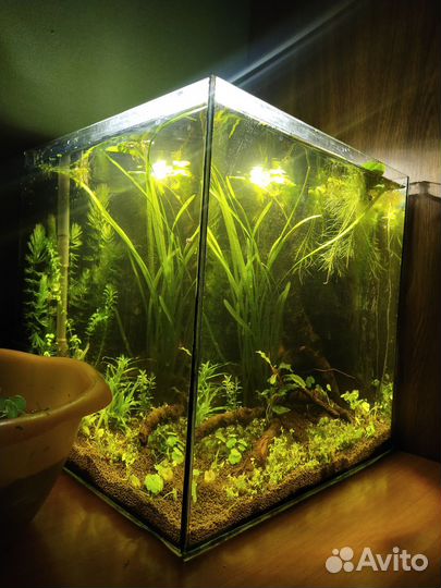 Аквариум 20 литров