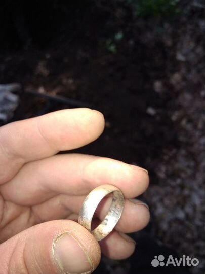 Металлоискатель Minelab X-terra 705 В Аренду