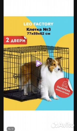 Клетка для собак