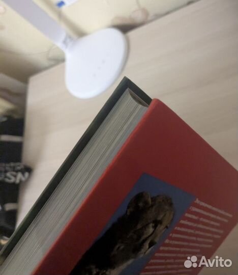 Энциклопедия про животных