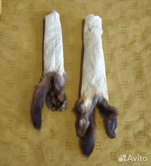Мех соболя шкурка