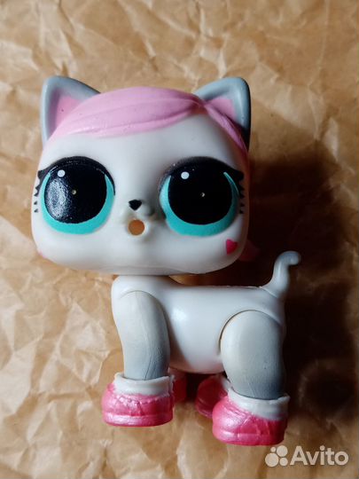 Лол кошечка