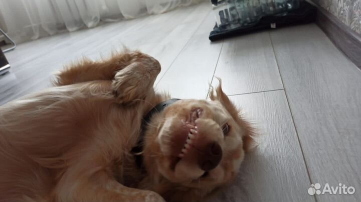 Зерносмесь