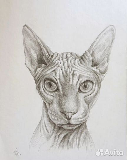 Портрет по фото карандашом