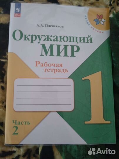 Рабочая тетрадь окружающий мир 1 класс