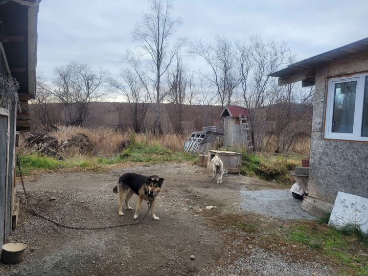 Дом 70 м² на участке 8 сот.