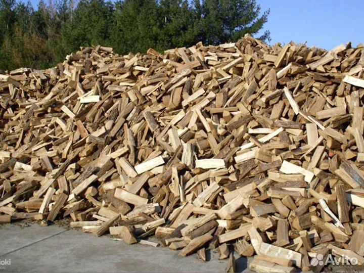 Дрова ольховые