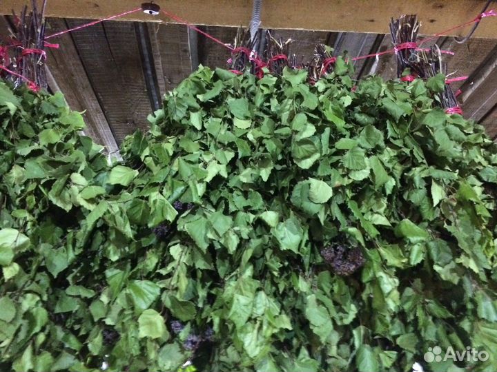 Банные веники.Доставка