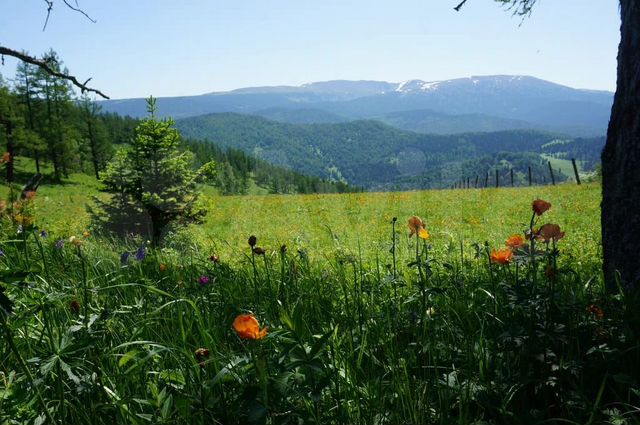 Участок 9 га (СНТ, ДНП)
