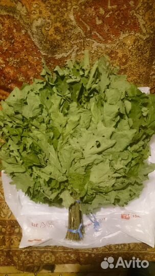 Веники дубовые березовые