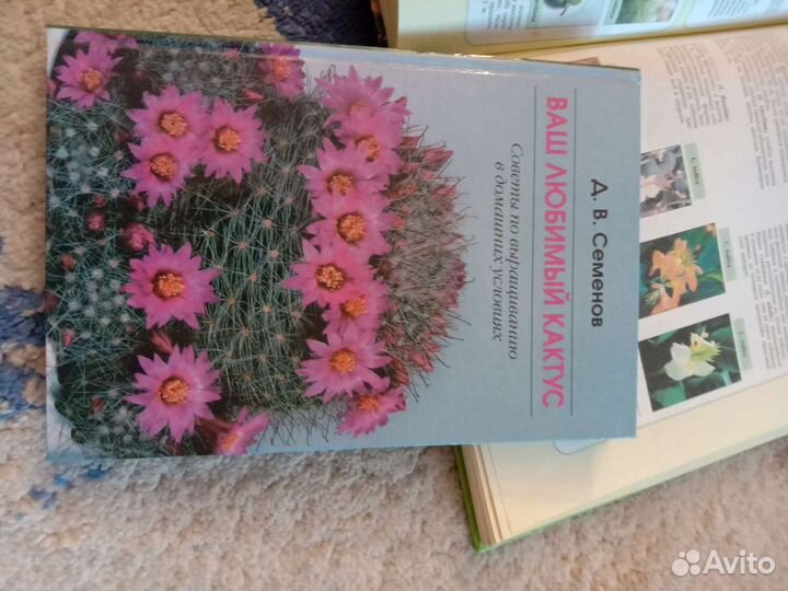 Энциклопедия комнатных растений,в подарок книга о