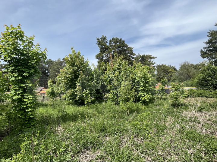 Участок 11 сот. (ИЖС)