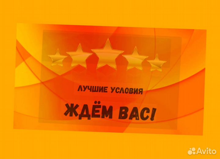 Оператор линии Без опыта Еженедельные выплаты