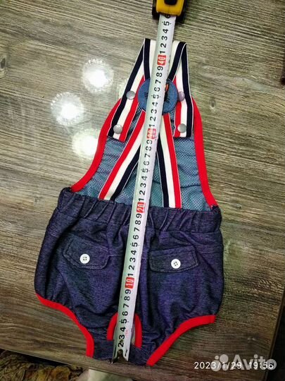 Трусы-шорты для собак