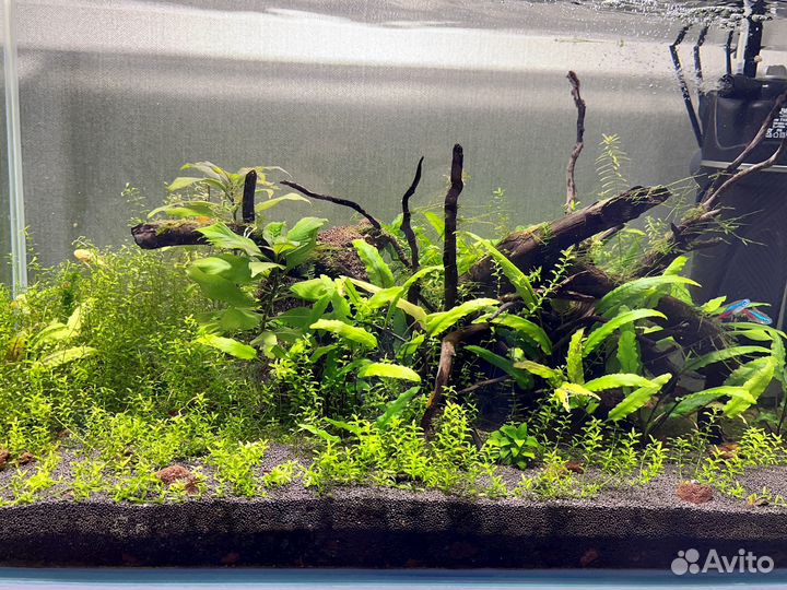 Аквариум 100л