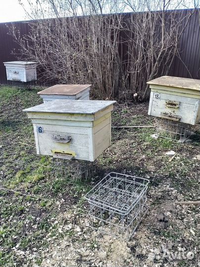 Ульи для пчел