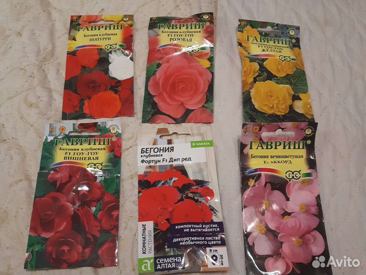 Беготни семена