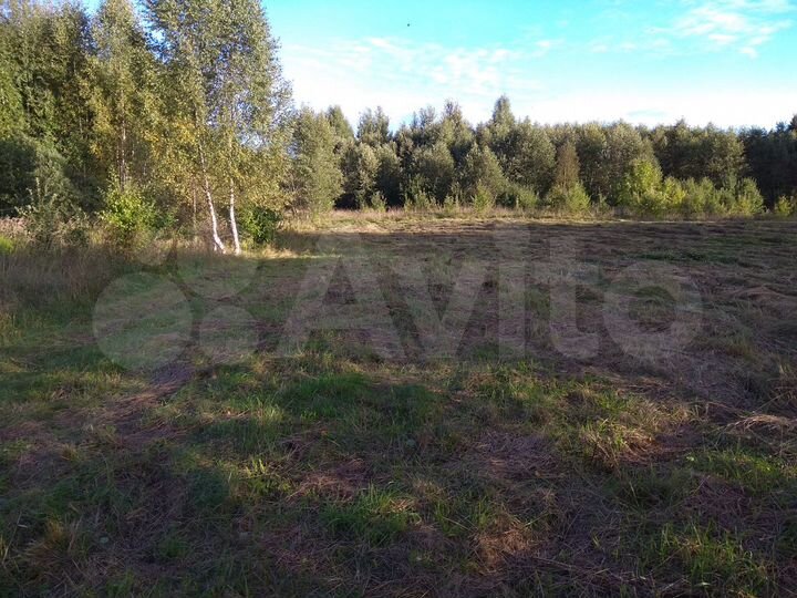 Участок 40 сот. (ИЖС)