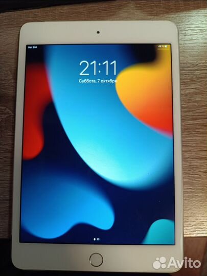 iPad mini 4 cellular