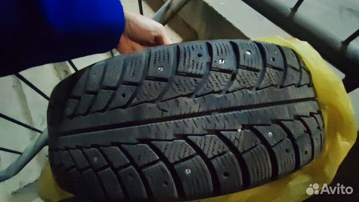 Gislaved Frost 195/65 R15 91T