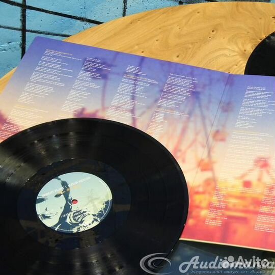 Robert plant & alison krauss - raise THE roof (2 L