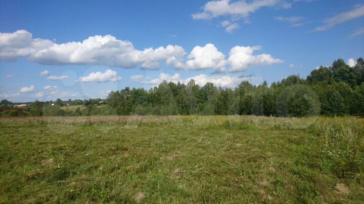 Участок 50 сот. (СНТ, ДНП)