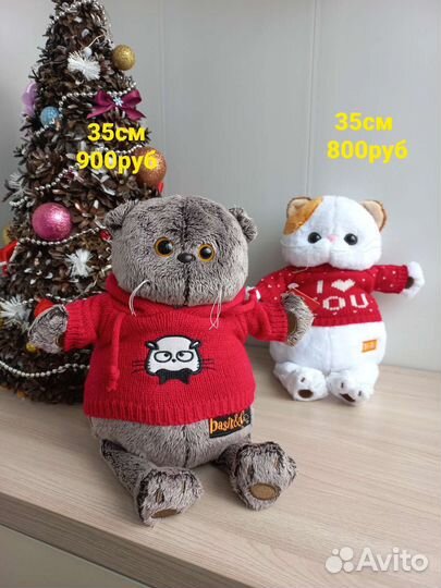 Кот басик, кошка лили в кофточке