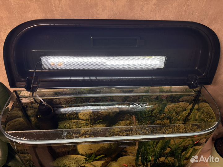 Аквариум С рыбками 105 л