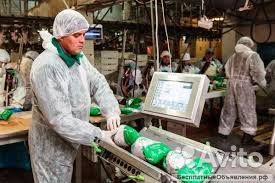 Упаковщик с проживанием и питанием/Билеты покупаем