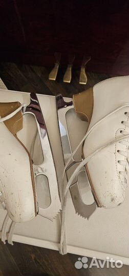 Фигурные коньки edea 240