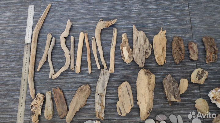 Набор 1 (дрифтвуд,галька, ракушки)