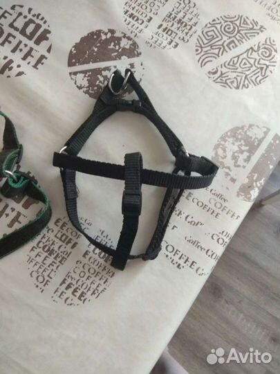 Шлейка для собак