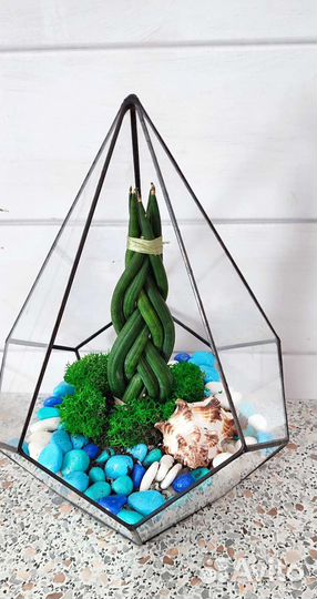 Флорариум с живым суккулентом