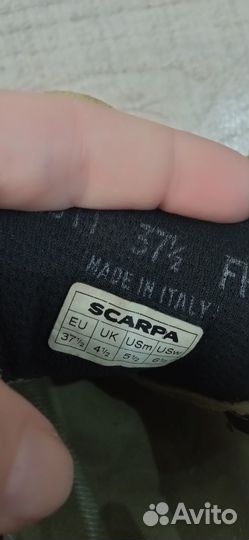 Скальные туфли