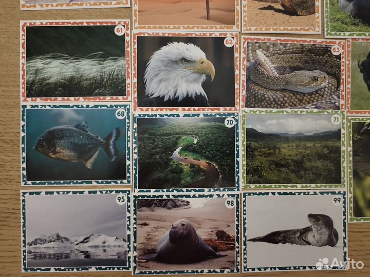 Наклейки Живая Планета (пуд)