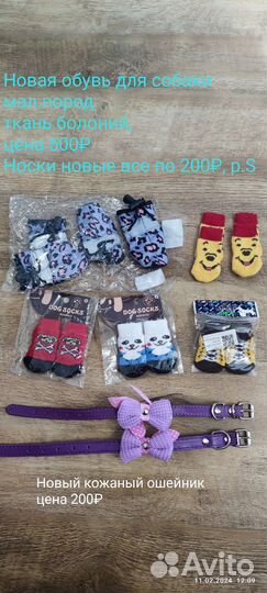 Товары для животных собак